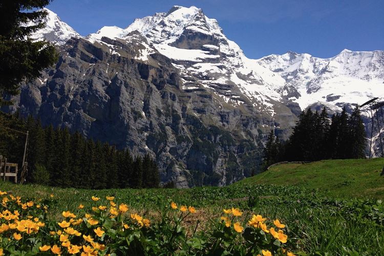 Jungfrau, Mönch a Eiger se slevovou kartou - Švýcarský trojlístek